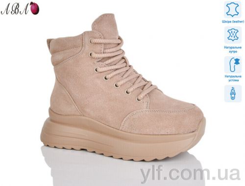 Черевики ITTS CE083-26