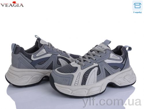 Кросівки VEAGIA V983-5 Кросівки VEAGIA V983-5