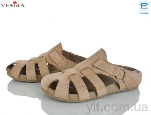 Шльопанці VEAGIA N80-6 Шльопанці VEAGIA N80-6